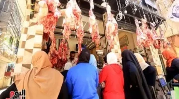 تغيرات في أسعار اللحوم والدواجن والبيض والأسماك بأسواق محافظة أسيوط اليوم